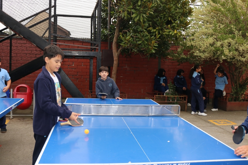 Día de la Actividad Física